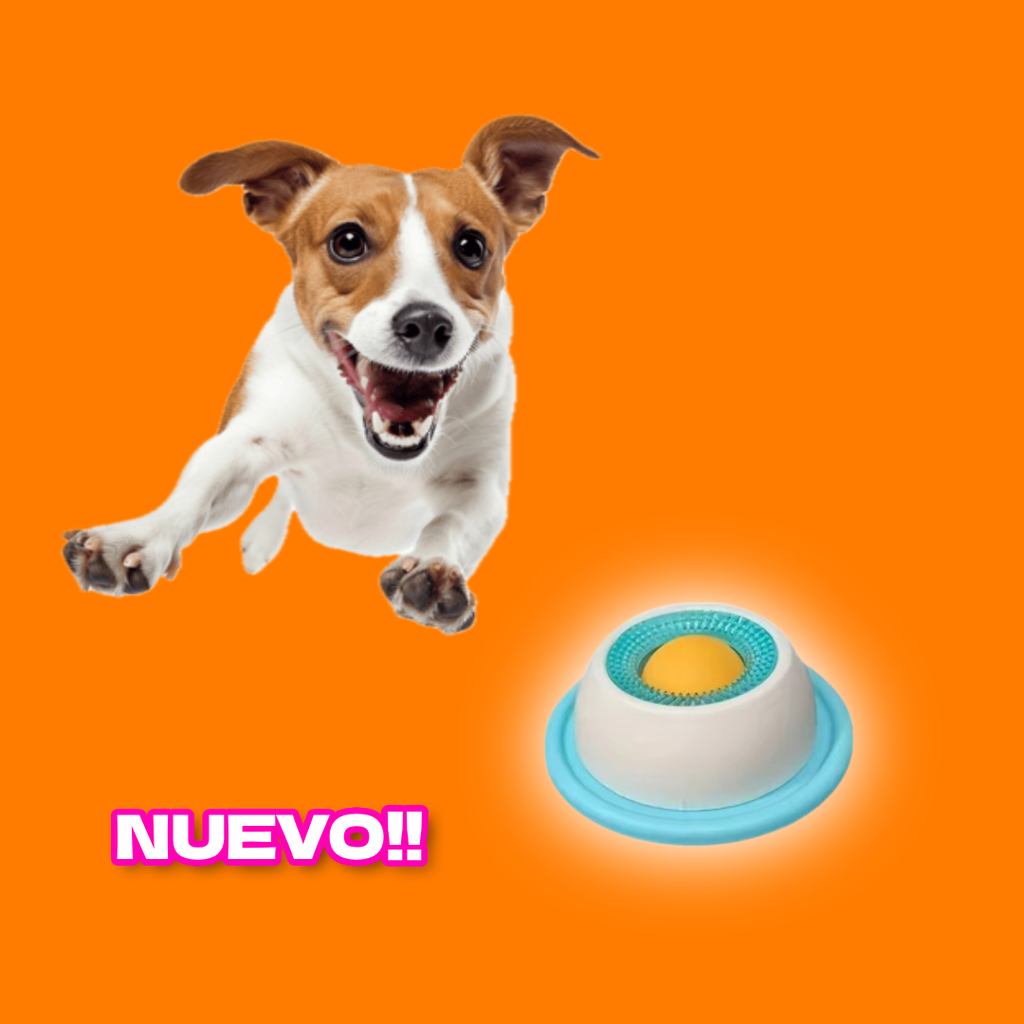 MintDog - Estimula y relaja a tu mascota