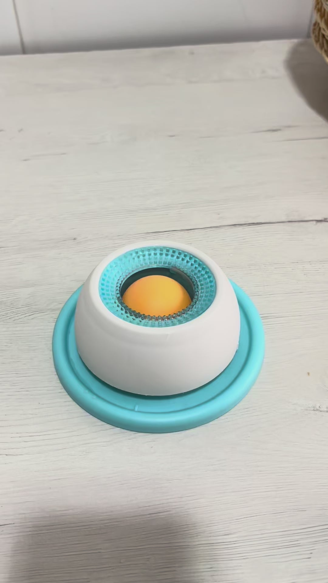 MintDog - Estimula y relaja a tu mascota